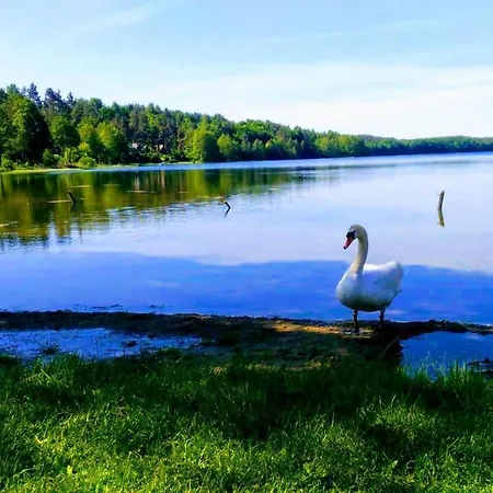 Apartament Nad Lesniczowka Golubie