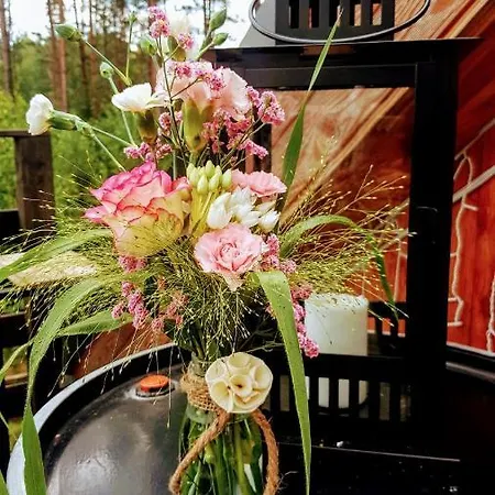 Apartament Nad Lesniczowka